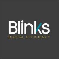 blinks logo image