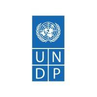 undp in india logo image