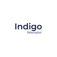 cooperative indigo logo image