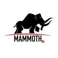 mammoth dx logo image