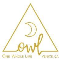 owl venice logo image