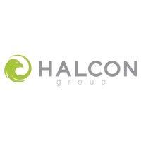 halcon group (hk) limited logo image