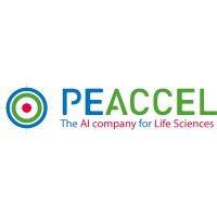 peaccel logo image