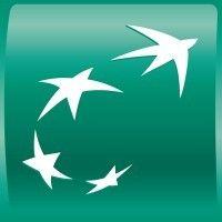 bnp paribas cib logo image