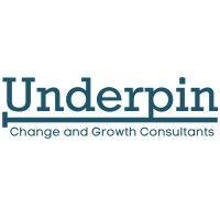 underpin consultants logo image