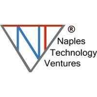 naples technology ventures logo image