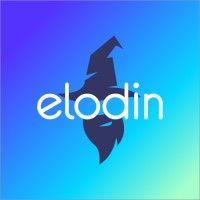 elodin design, inc. logo image