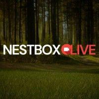 nest box live