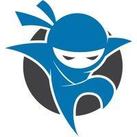 net ninjas logo image