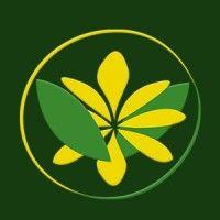 brasil flor logo image