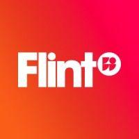 flint - melbourne digital agency logo image