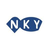 nky architects and engineers logo image