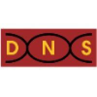 data network solutions logo image