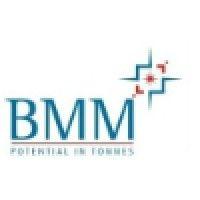 bmm ispat ltd. logo image