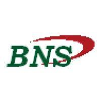 bns analytics logo image