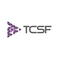 tc stratégie financière logo image