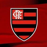 clube de regatas do flamengo logo image