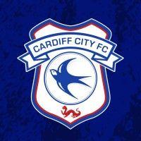 cardiff city football club logo image