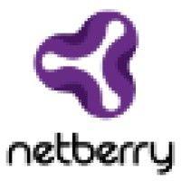 netberry ltd logo image