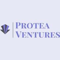 protea ventures corporation logo image