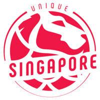 unique singapore media project logo image