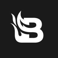 blaze media logo image