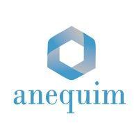 anequim méxico / empleos remotos logo image