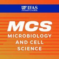 university of florida - department of microbiology and cell science logo image