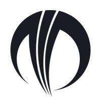 metris leadership logo image