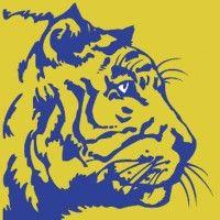 tiger style logo image