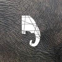 elephant skin logo image