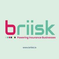 briisk logo image