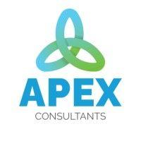 apex consultants inc logo image