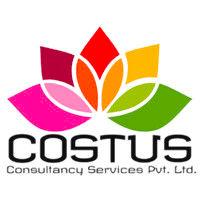 costus consultancy services