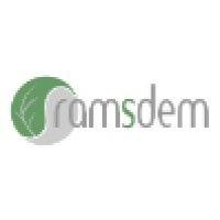 ramsdem international logo image