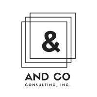 and co consulting, inc. logo image