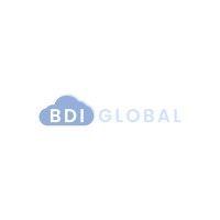 bdi global logo image