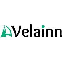 velainn logo image