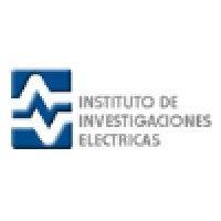 iie logo image