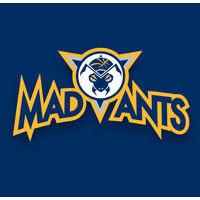 mad ants basketball logo image