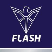 flash electronics india pvt ltd