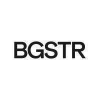 bigstar logo image