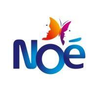 noé logo image