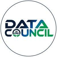 the data council, a division of spins llc logo image