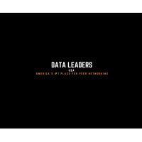 data leaders - usa