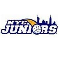 nyc juniors volleyball club logo image