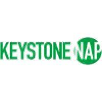 keystone nap logo image