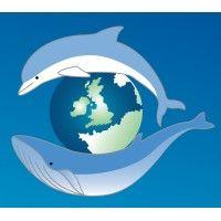 sea watch foundation - the cetacean monitoring unit logo image