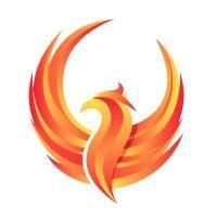 phoenix investment fund, inc logo image