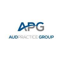 audpractice group, llc logo image